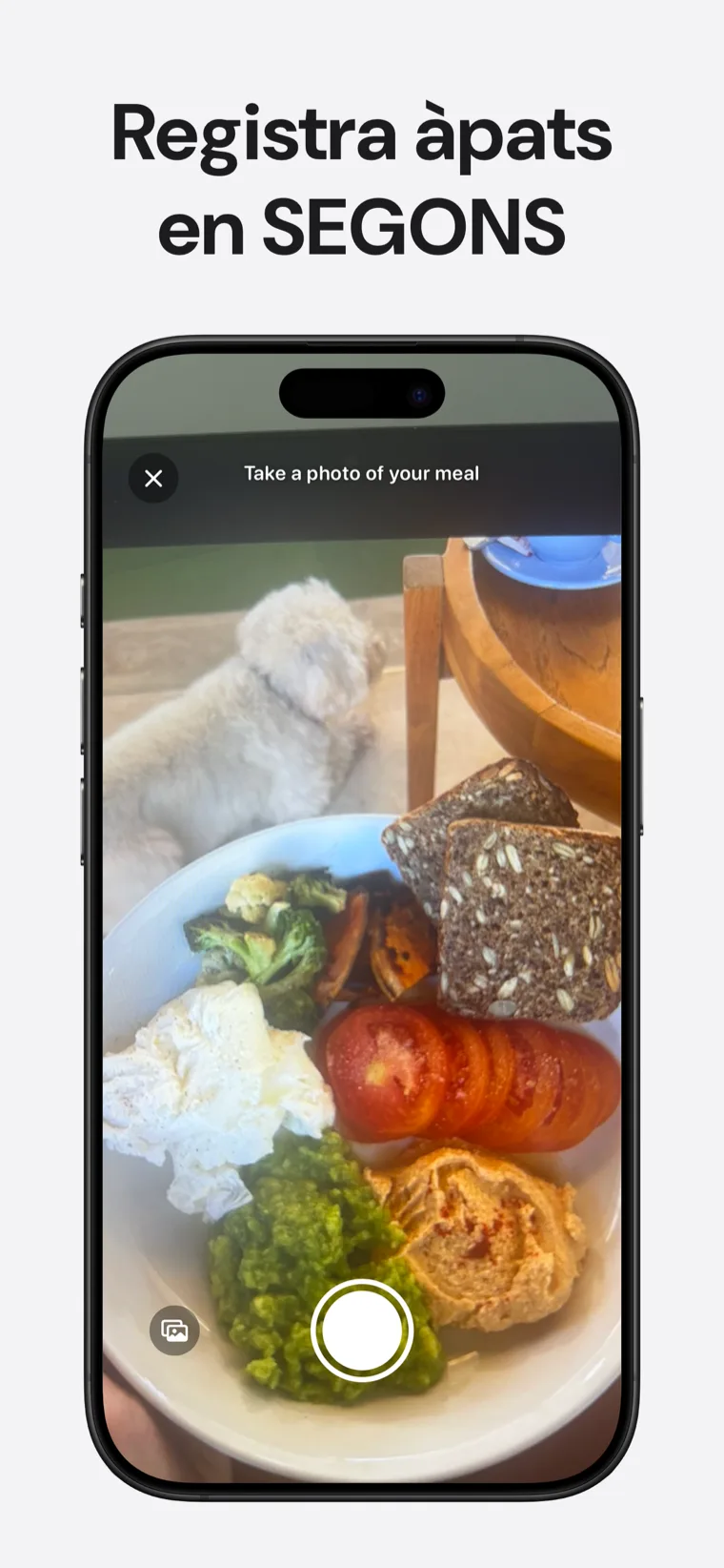 Registra àpats en SEGONS — Sodium Tracker mostrant les opcions de registre per foto, codi de barres i veu